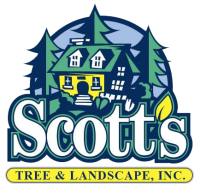 Scott's tree service llc