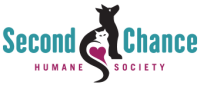Second chance society