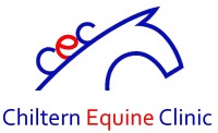 Shambley equine clinic