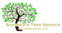 Shamrock tree service