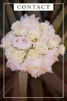 Shannon wilsey photography