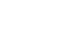Shark wheel