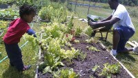 Sheaux fresh sustainable foods
