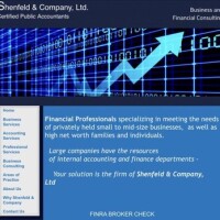 Shenfeld & company ltd