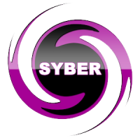 Siber enterprise group