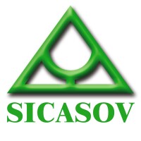 Sicasov group