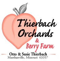 Thierbach Market