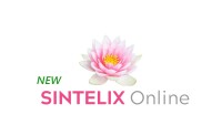 Sintelix pty ltd