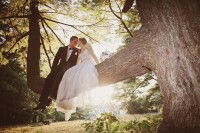 Sitting in a tree weddings, llc.