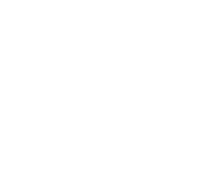 Skyla rose jewelry