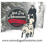 Sled dog adventures