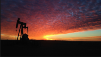 Lu-Ray Petroleum LLC