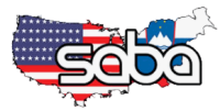 Slovenian american business association