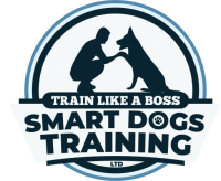 Smart dogs training & lodging