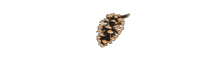 Sml contracting