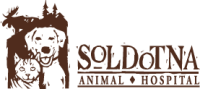 Soldotna animal hospital