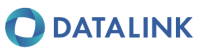 Datalink, l.l.c.