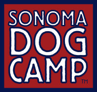 Sonoma dog camp