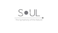 Soul sound audio