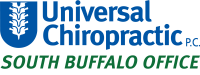 South buffalo chiropractic