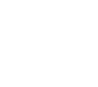 Southern pacific brewing llc