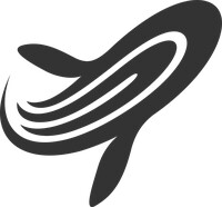 Space whale capital
