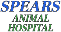 Spears injury clinic