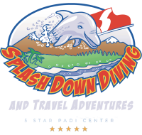 Splash down diving adventures