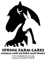 Spring farm cares