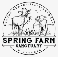 Spring farm sanctuary