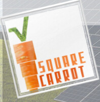 Square carrot consulting
