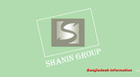 Shanin group