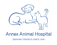 Steadman veterinary hospital