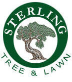 Sterling tree and lawn