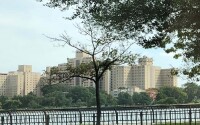 Kirby Forensic Psychiatric Center, Wards