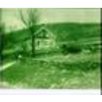 Stone tavern farm llc