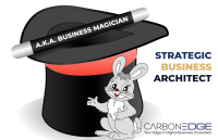 Strategic business architects, inc.