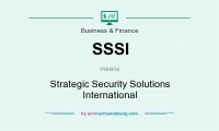 Strategic security solutions international (sssi)