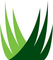 Synlawn houston