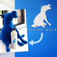 Stuffed animals