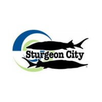 Sturgeon city of jacksonville nc