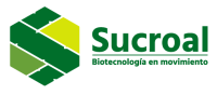 Sucromiles s.a.