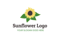 Sunflower services