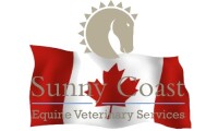 Sunny coast veterinary