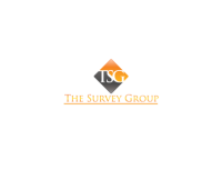 Survey group merchandising & consulting
