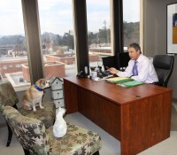 David sutton mediation and arbitration