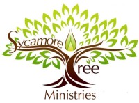 Sycamore tree church