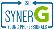 Synerg young professionals
