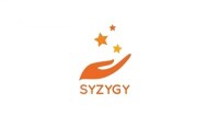 Syzygy professional services