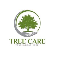 Taller arbol